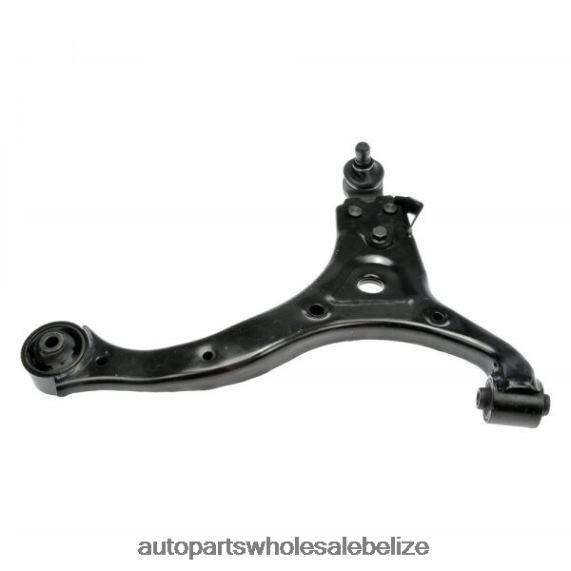 Hyundai Control Arm 54501-4D101 - Car Parts Wholesale Suppliers 8PF4Z3029