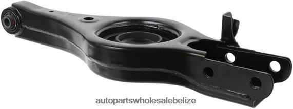 Hyundai Control Arm 55210-2S200 - Wholesale Automotive Spare Parts 8PF4Z3081