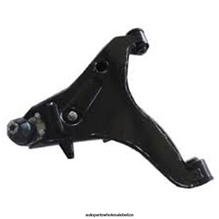 XJ0H1322 MITSUBISHI Control Arm Trailing Bushing 4013A088T - Automobile Spare Parts Wholesaler