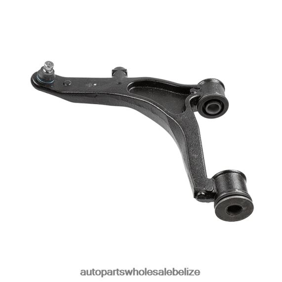 Nissan Control Arm 4404047 - Car Parts Wholesale Suppliers 8PF4Z329