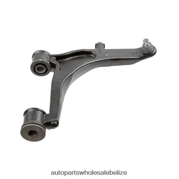 Nissan Control Arm 4404048 - Auto Spare Parts Wholesale 8PF4Z330