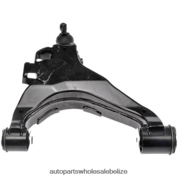 Nissan Control Arm 54532-25W00 - Auto Spare Parts Wholesale 8PF4Z2600