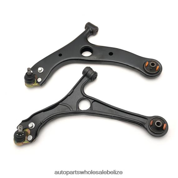 Chery Control Arm T11-2909020 - Car Parts Wholesale Suppliers 8PF4Z29