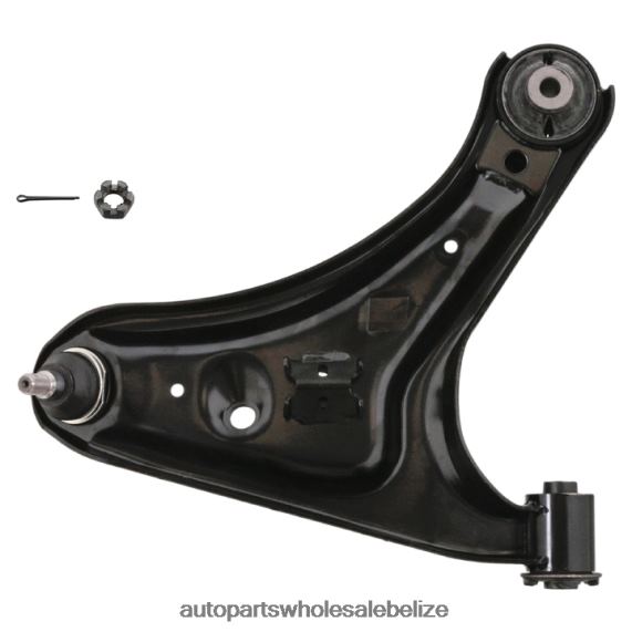 Daihatsu Control Arm 48069-B4010 - Auto Spare Parts Wholesale 8PF4Z480