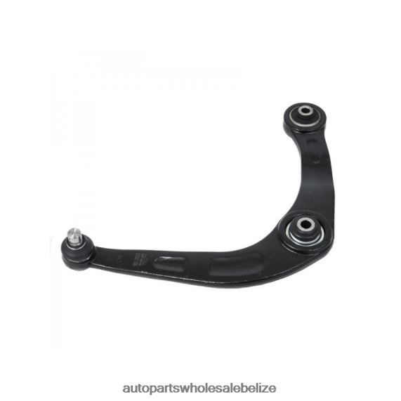 Peugeot Control Arm 35210000000 - Automobile Spare Parts Wholesaler 8PF4Z872