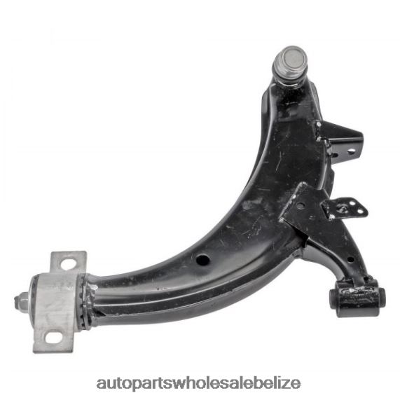 Subaru Control Arm 20202-FE151 - Car Spare Part Wholesaler 8PF4Z2723