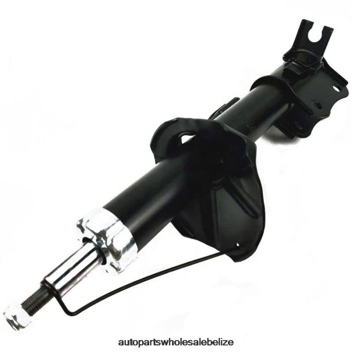 XJ0H67 CHEVROLET Shock Absorber Fits Front 24542731 - Car Parts Belize City
