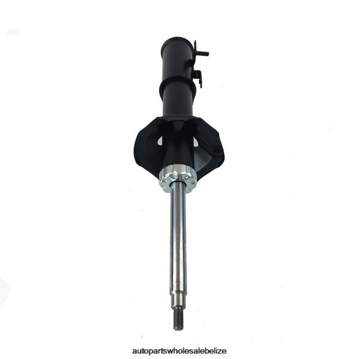 XJ0H76 ZOTYE Shock Absorber Fits Front 339021 - Car Parts Online