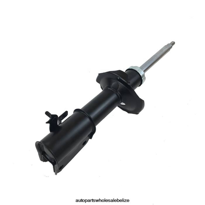 XJ0H76 ZOTYE Shock Absorber Fits Front 339021 - Car Parts Online