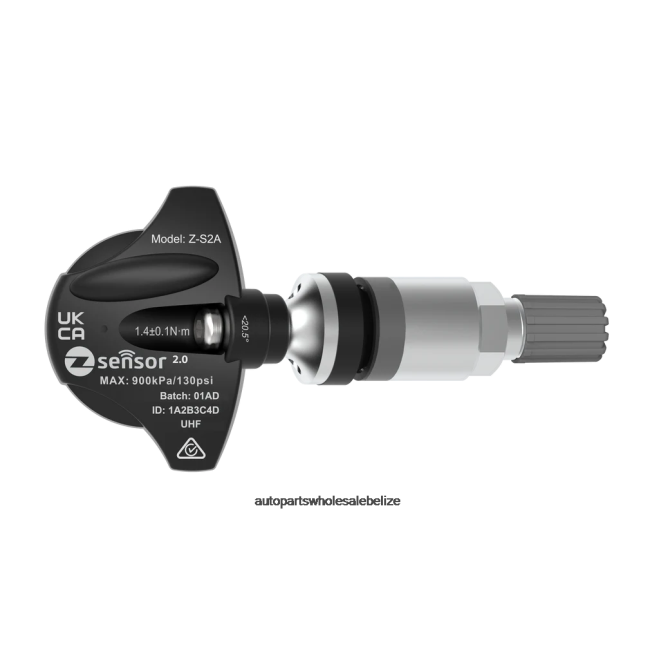 20 x TPMS Sensor Unprogrammed - Automobile Spare Parts Wholesaler H66Z2560 Metal Valve Stem - Silver