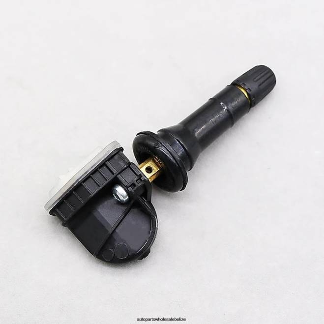 TPMS BYD The Pressure Sensor SC3609200 433MHZ - Motorcycle Spare Parts Wholesale H66Z3062