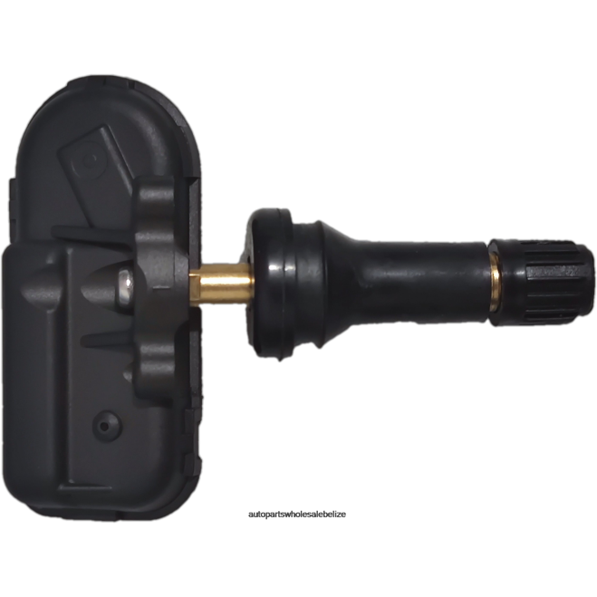 TPMS Baojun Tire Pressure Sensor 23984663 - Motorcycle Spare Parts Wholesale H66Z2622