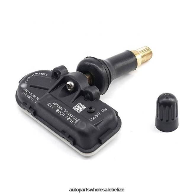 TPMS Chery Tire Pressure Sensor 802000021AA - Automobile Spare Parts Wholesaler H66Z2580