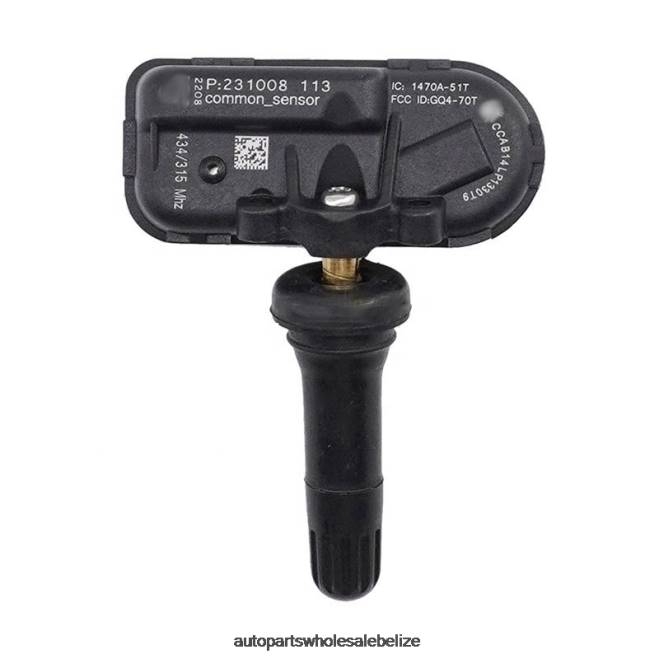 TPMS Chery Tire Pressure Sensor 802000021AA - Automobile Spare Parts Wholesaler H66Z2580