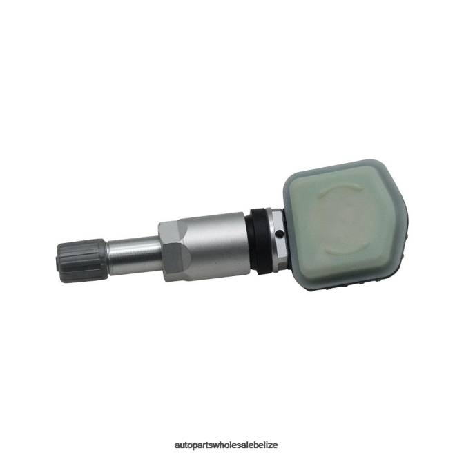 TPMS Chery Tire Pressure Sensor 802000126AA - Car Spare Part Wholesaler H66Z2581
