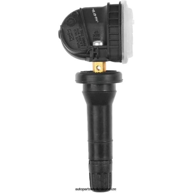 TPMS Dongfeng Tire Pressure Sensor 3641050FS01 - Auto Spare Parts Wholesale H66Z2598
