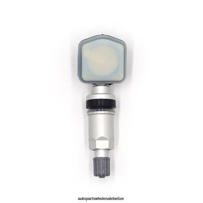TPMS Dongfeng Tire Pressure Sensor 3641050SA03 - Automobile Spare Parts Wholesaler H66Z2600