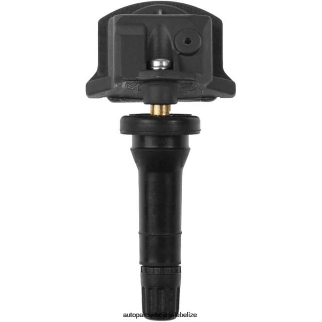 TPMS Dongfeng Tire Pressure Sensor 407006UA0A - Motorcycle Spare Parts Wholesale H66Z2602