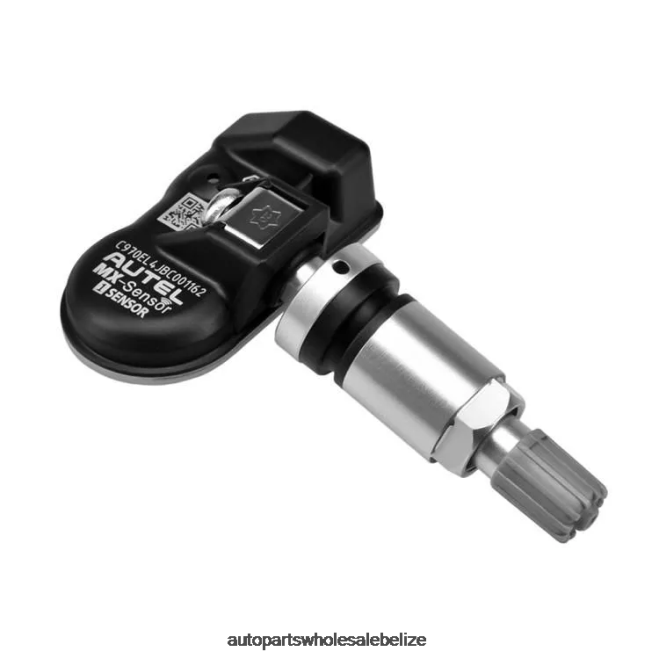 TPMS Geely The Pressure Sensor 6606737042 433MHZ - Automobile Spare Parts Wholesaler H66Z3060