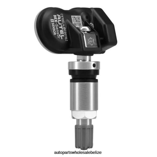 TPMS Geely The Pressure Sensor 6606737042 433MHZ - Automobile Spare Parts Wholesaler H66Z3060