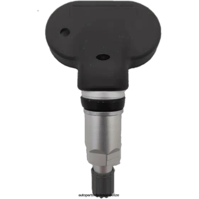TPMS JIANGZING Tire Pressure Sensor JML391212060A0Q0 - Auto Spare Parts Wholesale H66Z2638