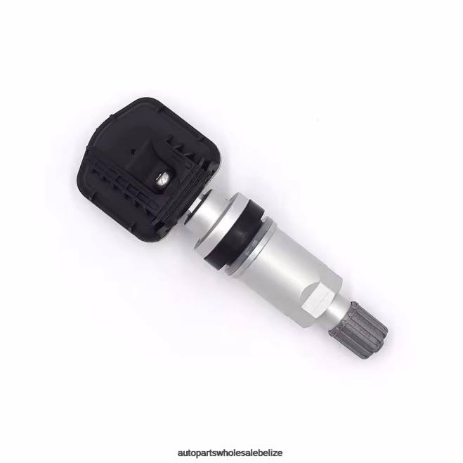 TPMS Rongwei Tire Pressure Sensor 10290600 - Car Parts Online H66Z2594