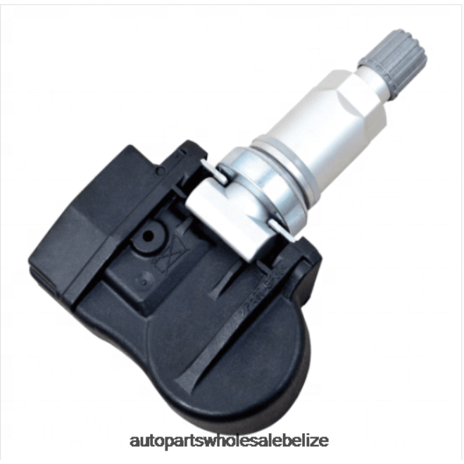 TPMS Rongwei Tire Pressure Sensor FW931A159AB RW - Car Parts Wholesale Suppliers H66Z2597