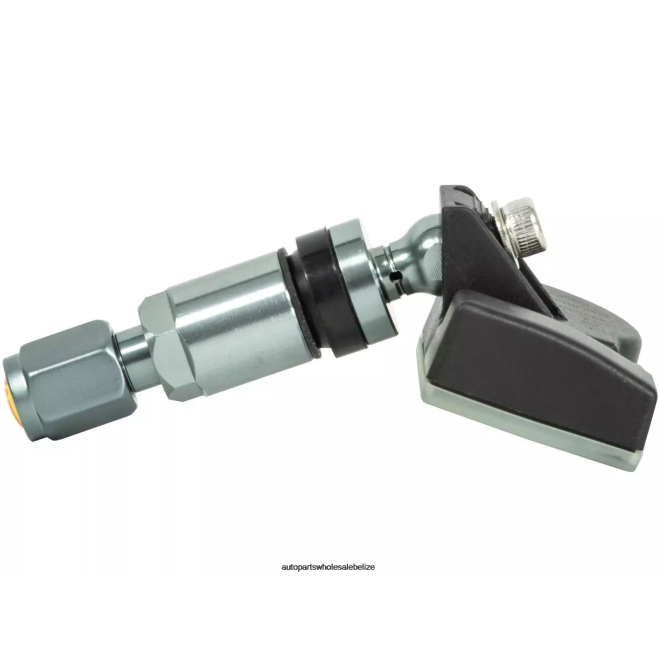 TPMS SAIC Datsun Tire Pressure Sensor GC91B50 - Wholesale Automotive Spare Parts H66Z2629