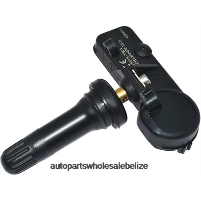 TPMS SAIC Datsun Tire Pressure Sensor TP3040001 - Car Parts Wholesale Suppliers H66Z2627
