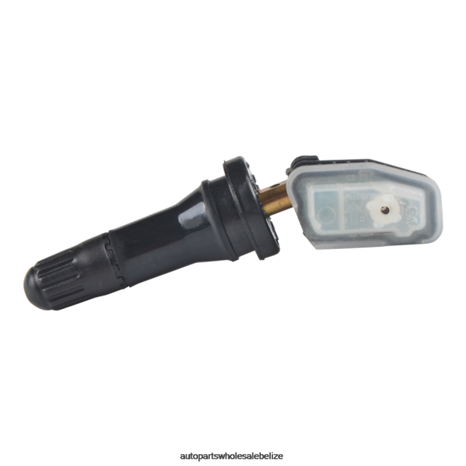 TPMS Southeast Tire Pressure Sensor 25M01A031A - Auto Spare Parts Wholesale H66Z2588