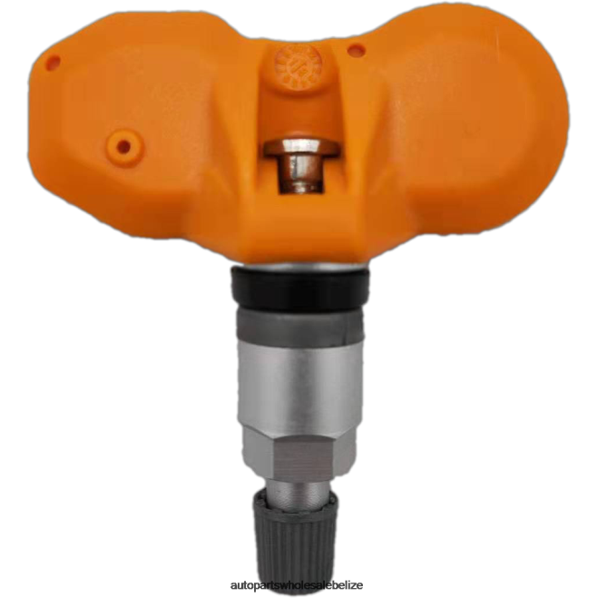 TPMS BMW Tire Pressure Sensor 36118378682 - Automobile Spare Parts Wholesaler H66Z2810