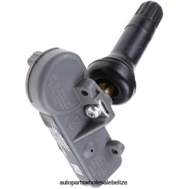 TPMS Buick/Chevrolet/Cadillac/GMC Tire Pressure Sensor 20922900 - Wholesale Automotive Spare Parts H66Z2659
