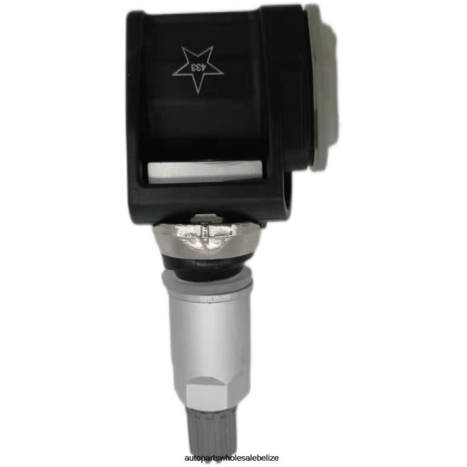 TPMS Cadillac Tire Pressure Sensor 13529770 - Car Parts Wholesale Suppliers H66Z2757