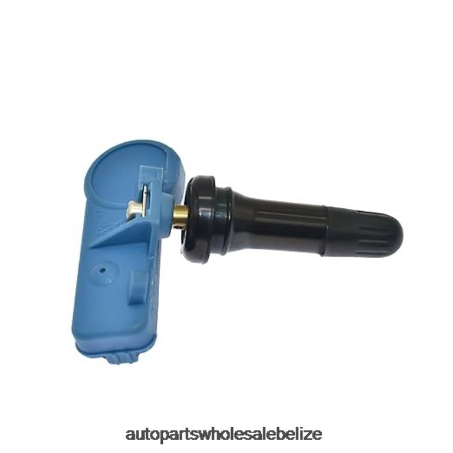 TPMS Chevrolet/Cadillac/GMC Tire Pressure Sensor 22853740 - Automobile Spare Parts Wholesaler H66Z2690