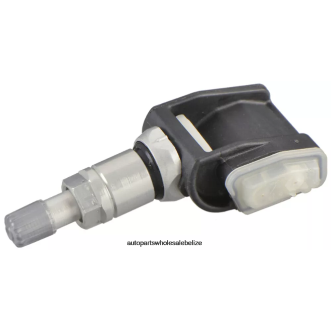 TPMS Chevrolet/Cadillac Tire Pressure Sensor 13598786 - Wholesale Automotive Spare Parts H66Z2679