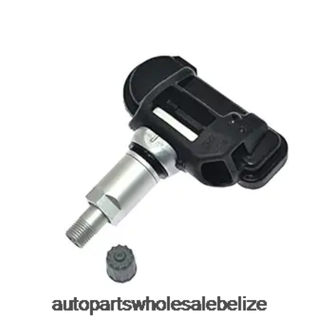 TPMS Chevrolet Tire Pressure Sensor 13581560 - Auto Spare Parts Wholesale H66Z2728