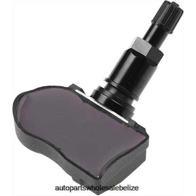 TPMS Tesla Tire Pressure Sensor 107481200B - Automobile Spare Parts Wholesaler H66Z2760
