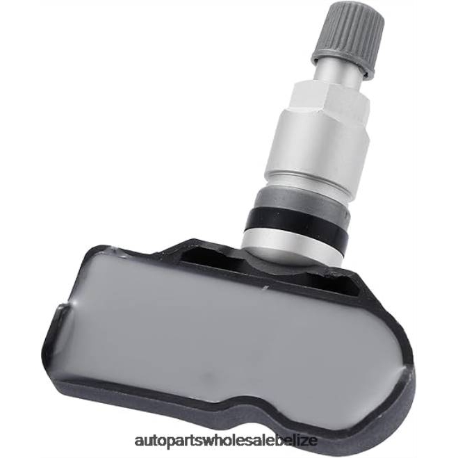 TPMS Volkswagen/Audi Tire Pressure Sensor 5Q0907275B - Automobile Spare Parts Wholesaler H66Z2780