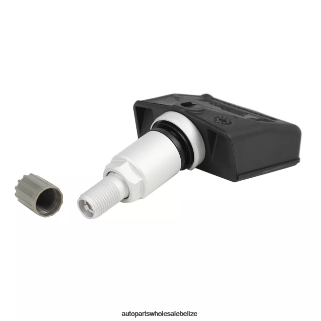 TPMS Nissan The Pressure Sensor 40700JA01B 307MHZ - Auto Spare Parts Wholesale H66Z2868