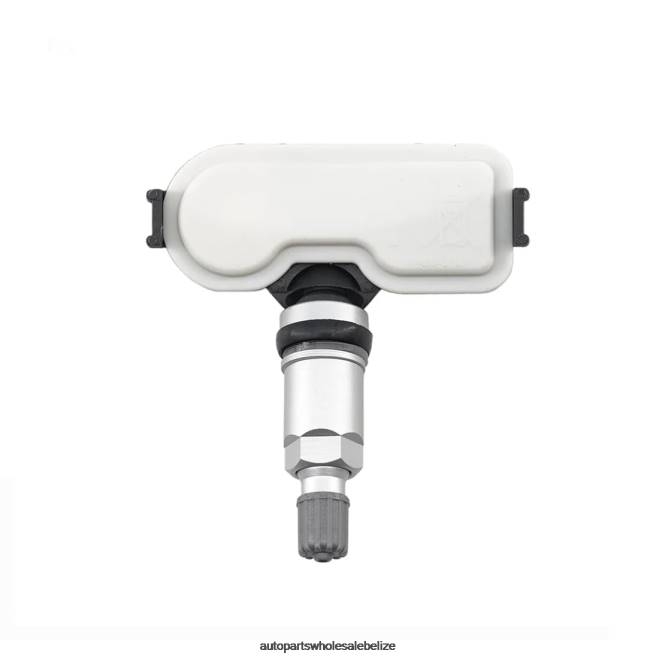TPMS Hyundai The Pressure Sensor 529333X300 448MHZ - Wholesale Automotive Spare Parts H66Z3009
